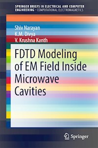 FDTD Modeling of EM Field inside Microwave Cavities - Shiv Narayan - E-Book
