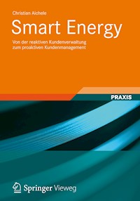 Smart Energy - Christian Aichele - E-Book
