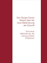 Don Gorgio Causo Report  über die "Neue Weltordnung unserer Zukunft" - N. G. Claus - E-Book