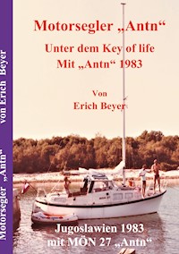 Motorsegler Antn - Erich Beyer - E-Book