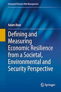 Defining and Measuring Economic Resilience from a Societal, Environmental and Security Perspective - Adam Rose - E-Book