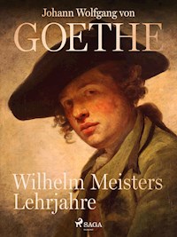 Wilhelm Meisters Lehrjahre - Johann Wolfgang von Goethe - E-Book