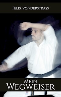 Mein Wegweiser - Felix Vonderstraß - E-Book