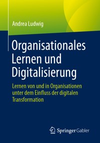 Organisationales Lernen und Digitalisierung - Andrea Ludwig - E-Book