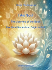 I Am Soul - Daniel Rindlisbacher - E-Book