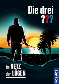 Die drei ??? Im Netz der Lügen (drei Fragezeichen) - Kari Erlhoff - E-Book