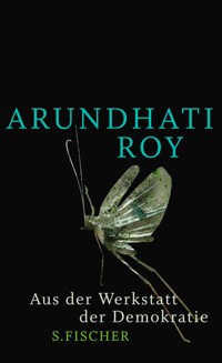 Aus der Werkstatt der Demokratie - Arundhati Roy - E-Book