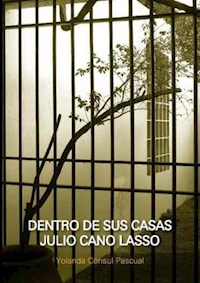 Dentro de sus casas. Julio Cano Lasso - Yolanda Cónsul Pascual - E-Book
