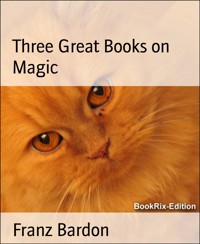 Three Great Books on Magic - Franz Bardon - E-Book