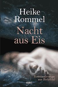 Nacht aus Eis - Heike Rommel - E-Book