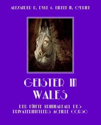Geister in Wales - Alexander P. Dyle - E-Book
