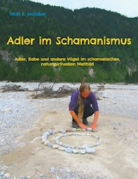 Adler im Schamanismus - Wolf E. Matzker - E-Book