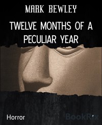 TWELVE MONTHS OF A PECULIAR YEAR - MARK BEWLEY - kostenlos E-Book