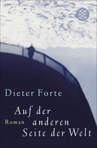 Auf der anderen Seite der Welt - Dieter Forte - E-Book