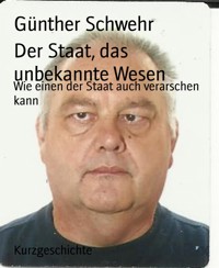 Der Staat, das unbekannte Wesen - Günther Schwehr - E-Book