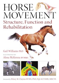 Horse Movement - Gail Williams - E-Book