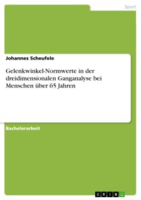 Gelenkwinkel-Normwerte in der dreidimensionalen Ganganalyse bei Menschen über 65 Jahren - Johannes Scheufele - E-Book