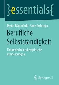 Berufliche Selbstständigkeit - Dieter Bögenhold - E-Book