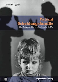Patient Scheidungsfamilie - Helmuth Figdor - E-Book
