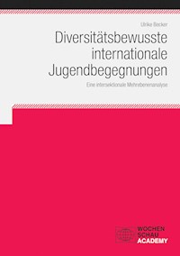 Diversitätsbewusste internationale Jugendbegegnungen - Ulrike Becker - E-Book