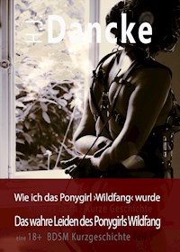 Wie ich das Ponygirl Wildfang wurde - H. J. Dancke - E-Book